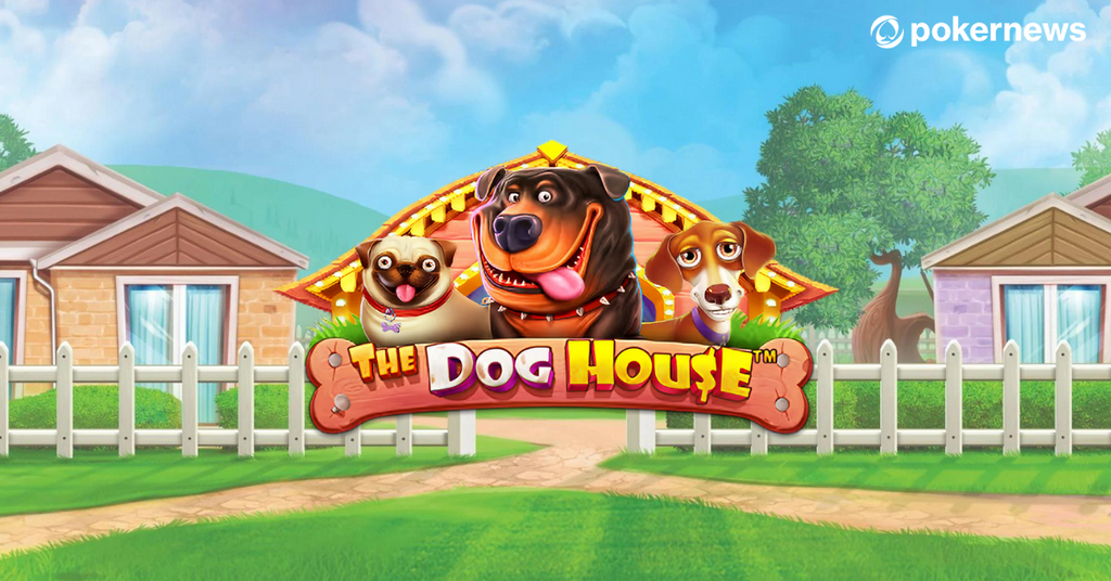 Recensione di The Dog House